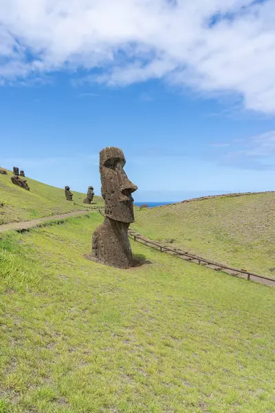 Paskalya Adası, Şili - 4 Mart 2023: Moai, Şili 'nin Rapa Nui kentindeki Rano Raraku yamacına çıkar. Raraku genellikle Moai Fabrikası olarak bilinir.