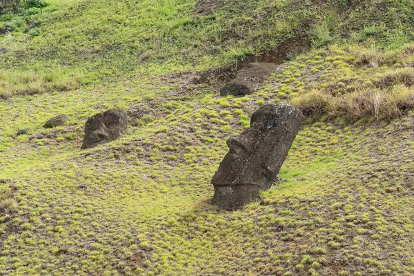 Paskalya Adası, Şili - 28 Şubat 2023: Moai, Şili 'nin Rapa Nui şehrinde, Rano Raraku yamacında. Raraku genellikle Moai Fabrikası olarak bilinir.