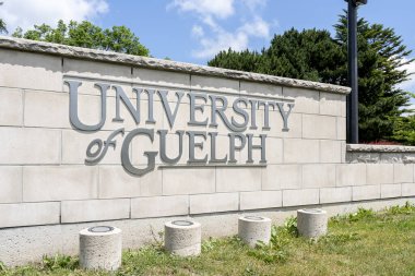 Guelph, On, Kanada - 28 Haziran 2020: Guelph Üniversitesi tabelası. Guelph Üniversitesi, Kanada 'nın Ontario eyaletinin Guelph şehrinde bulunan bir devlet araştırma üniversitesidir.