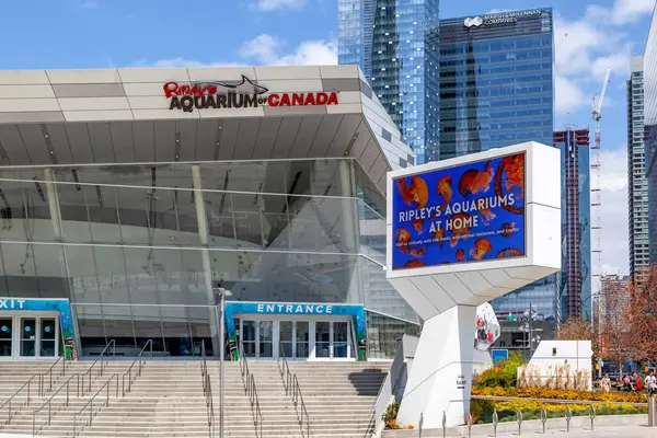 Toronto, On, Kanada - 16 Mayıs 2020: Ripley 'in Toronto' daki Kanada akvaryumu. Ripley 's Acquarium, Ripley Entertainment' in sahibi olduğu ve işlettiği bir akvaryumdur..