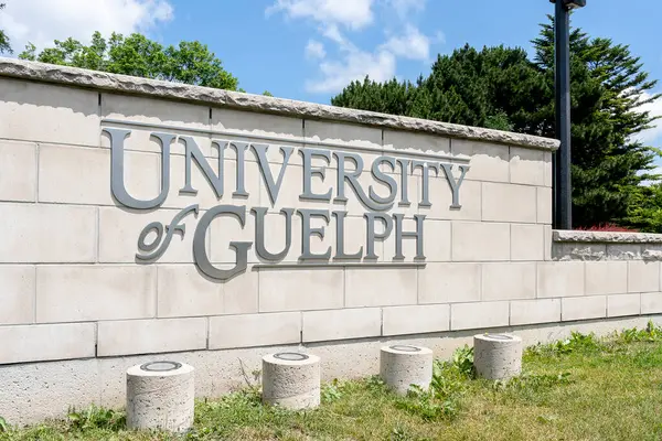 Guelph, On, Kanada - 28 Haziran 2020: Guelph Üniversitesi tabelası. Guelph Üniversitesi, Kanada 'nın Ontario eyaletinin Guelph şehrinde bulunan bir devlet araştırma üniversitesidir.