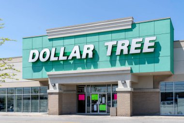 Toronto, Kanada - 3 Haziran 2019 Toronto 'da bir ağaç dükkanı. Dolar Ağacı Mağazaları, Inc. bir Amerikan indirimli mağaza zinciri..