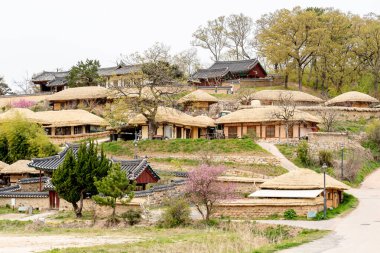 Gyeongju, Güney Kore - 7 Nisan 2019: Güney Kore 'nin Gyeongju şehrinde Yangdong Halk Köyü' nün görüntüsü. Yangdong Köyü, Joseon hanedanlığından geleneksel bir köydür..