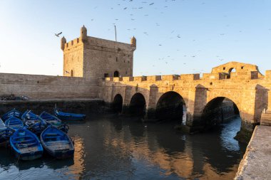 Essaouira, Fas - 17 Ekim 2024: Mogador Castelo Real kalesi ve Essaouira Limanı 'nda alacakaranlıkta mavi balıkçı tekneleri..