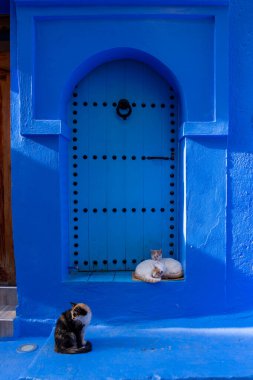 Chefchaouen, Fas - 23 Ekim 2024: Chefchaouen, Fas 'ta mavi renkli evler ve sokaklar. Chefchaouen genellikle mavi şehir olarak adlandırılır.