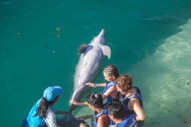 XCARET, MEXICO - 31 Mart 2016: Xcaret Eco Tema Parkı, Meksika 'da yunusların nasıl eğitildiğini öğrenen ziyaretçiler. Xcaret dünyanın en ünlü doğa parkıdır..