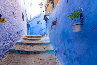 Chefchaouen, Fas - 23 Ekim 2024: Chefchaouen, Fas 'ta mavi renkli evler ve sokaklar. Chefchaouen genellikle mavi şehir olarak adlandırılır.