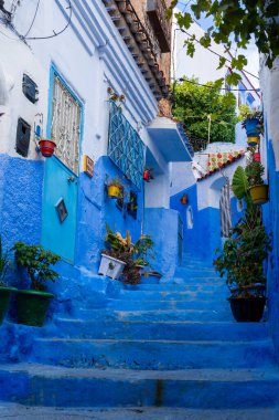 Chefchaouen, Fas - 23 Ekim 2024: Chefchaouen, Fas 'ta mavi renkli evler ve sokaklar. Chefchaouen genellikle mavi şehir olarak adlandırılır.