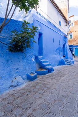 Chefchaouen, Fas 'ta Medine' de mavi basamaklı mavi evler. Chefchaouen, Mavi Şehir olarak bilinen küçük bir şehirdir.