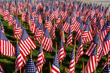 11 Kasım 2023 'te, Boston, MA, ABD' de bayrak bahçesine Amerikan bayrakları dikildi..