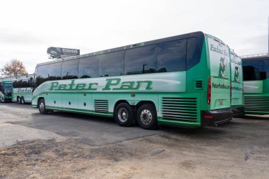 Springfield, MA, USA, 12 Kasım 2023: Peter Pan Otobüsleri Springfield, MA, ABD. Peter Pan Otobüs Hattı, Amerika Birleşik Devletleri 'nin kuzeydoğusunda bir şehirler arası otobüs servisi işletiyor..