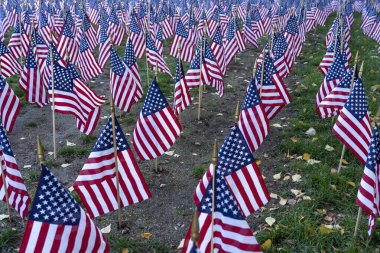 11 Kasım 2023 'te, Boston, MA, ABD' de bayrak bahçesine Amerikan bayrakları dikildi..