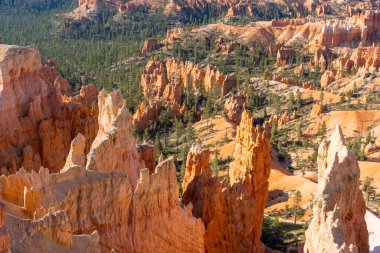 Bryce Kanyonu Ulusal Park Manzarası 