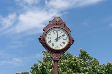 7 Temmuz 2023 'te Kanada, Vancouver' daki Bloedel Konservatuarı 'nın dışındaki Aslan Saati. Aslan Saati, Vancouver Mandarin Lions Kulübü 'nün hediyesiydi..