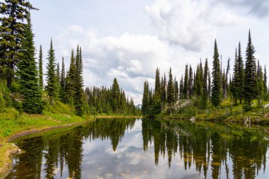 Bulutlu gökyüzünün arka planında güzel göl ve orman