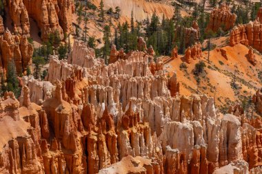 Bryce Canyon Ulusal Parkı, Güney Utah, ABD, 3 Haziran 2023. Bryce Canyon Ulusal Parkı, koyu kırmızı kabadayılarıyla tanınır. Bunlar ilmik şekilli kaya oluşumlarıdır..