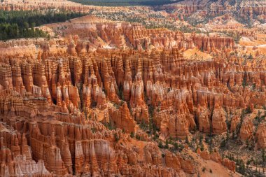 Bryce Canyon Ulusal Parkı, Güney Utah, ABD, 3 Haziran 2023. Bryce Canyon Ulusal Parkı, koyu kırmızı kabadayılarıyla tanınır. Bunlar ilmik şekilli kaya oluşumlarıdır..