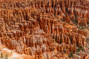 Bryce Canyon Ulusal Parkı, Güney Utah, ABD, 3 Haziran 2023. Bryce Canyon Ulusal Parkı, koyu kırmızı kabadayılarıyla tanınır. Bunlar ilmik şekilli kaya oluşumlarıdır..