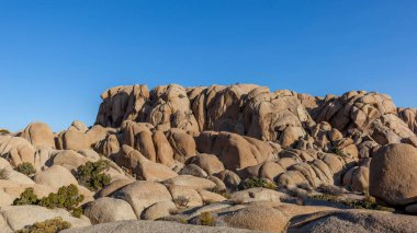 Joshua Tree Ulusal Parkı 'ndaki Rock' lar, Kaliforniya, ABD