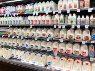 Bir süpermarketteki dondurucuların raflarındaki süt kaplarının çeşitliliği. Salt Lake City, Utah, ABD - 13 Mayıs 2023.