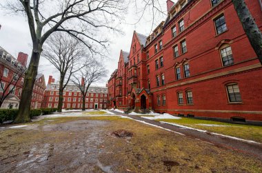 Boston 'da Harvard Yard' da. Harvard Üniversitesi Bölgesi. Massachusetts 'te. ABD