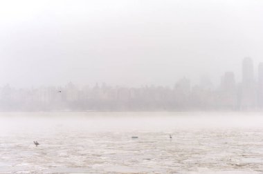 Hudson nehri kışın, Ducks on Ice ve Misty New Your City 'nin arka planında. NYC, ABD