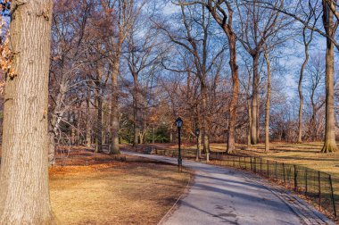 New York 'taki Central Park, New York, ABD. Kış. İnsansız Boş Yol
