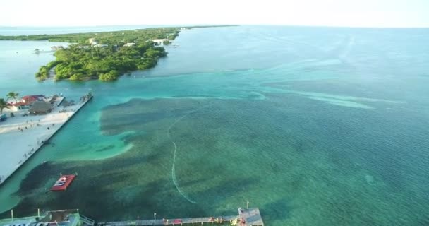 Caye Caulker Island Caribbean Sea Belize Drone Point View — Wideo stockowe