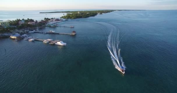 Caye Caulker Island Caribbean Sea Belize Drone Point View — Wideo stockowe
