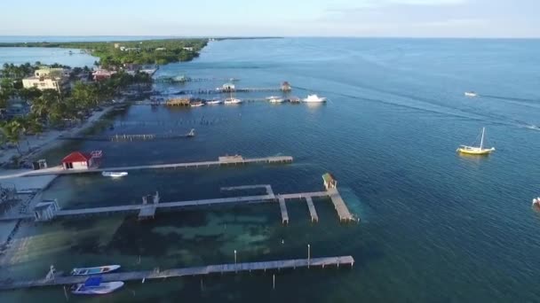 Caye Caulker Island Caribbean Sea Belize Drone Point View — Video Stock