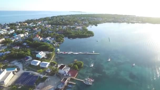 Caye Caulker Island Caribbean Sea Belize Drone Point View — Stockvideo