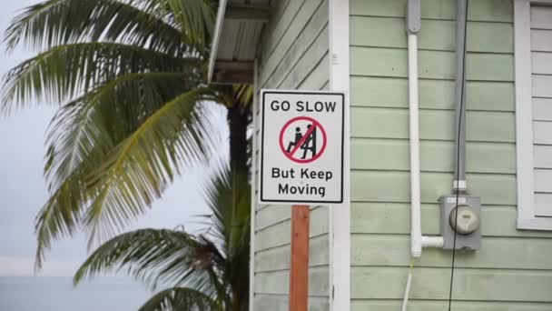 Slow Sign Caye Caulker Belize Island Caribbean Sea — 비디오