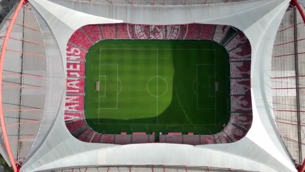 Estadio Sport Lisboa Benfica Multi Purpose Stadium Located Lisbon Portugal — Vídeos de Stock