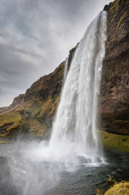 Seljalandsfoss Şelalesi İzlanda 'da. İzlanda 'daki en ünlü şelalelerden biri..
