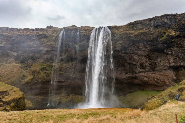 Seljalandsfoss Şelalesi İzlanda 'da. İzlanda 'daki ünlü şelalelerden biri. Manzara. Doğa.