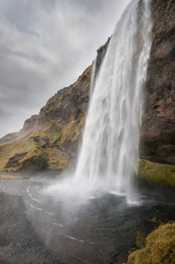 Seljalandsfoss Şelalesi İzlanda 'da. İzlanda 'daki en ünlü şelalelerden biri..
