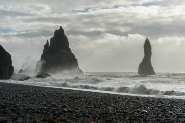 İzlanda 'daki Kara Kum Sahili Reynisfjara. Sudaki Kayalar. Okyanus Dalgaları ve Rüzgarlı Sabah.