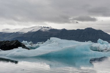Jokulsarlon Buzul Gölü ve Arka plandaki Dağ. Uçan Kuş ve Manzara