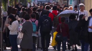 People Waiting Till Can Cross The Street in Tokyo City. Business District. Rush Hour Time. Japanese People. Shinjuku District in Tokyo. Blurry Background