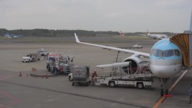 Korean Airlines airplane Airbus a220 arrived to Tokyo International Narita Airportand. Ground Service is Working in Background. Loading Luggages. . Bright Sunny Day
