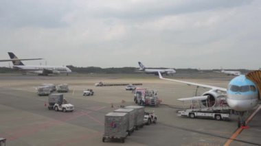 Korean Airlines airplane Airbus a220 arrived to Tokyo International Narita Airportand. Ground Service is Working in Background. Singapore and Nippon Cargo Airlines Airplanes Are Taxing to Take Off. Bright Sunny Day