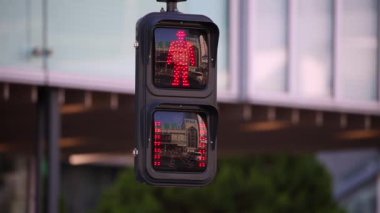 Pedestrian Traffic Light and Red Light. People Are Waiting till Can Cross the Street in Tokyo, Japan.