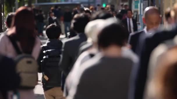 People Waiting Till Can Cross Street Tokyo City Business District — Stockvideo