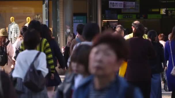People Waiting Till Can Cross Street Tokyo City Business District — Stock video