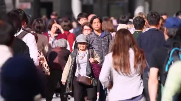 Люди Токио Деловой Район Время Часа Пик Люди Идут Тропинке — стоковое видео