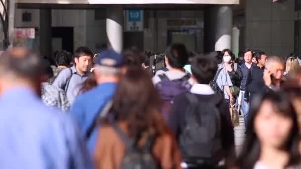 People Tokyo City Business District Rush Hour Time People Walking — Stockvideo