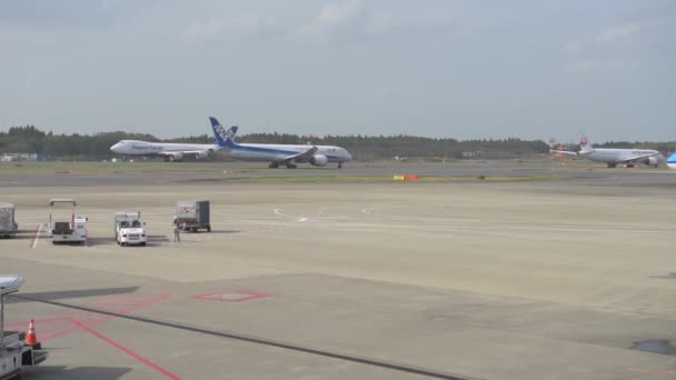 Tokyo International Narita Airport Ground Service Working Background Japan Ana — Αρχείο Βίντεο