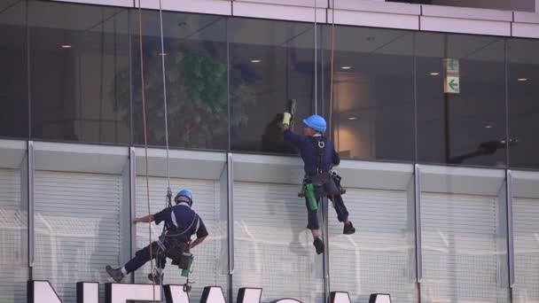 Windows Cleaner Cleaning Building Windows Using Ropes Group Workers Cleaning — Vídeo de Stock