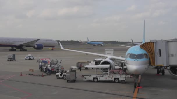 Korean Airlines Airplane Airbus A220 Arrived Tokyo International Narita Airport — Stockvideo