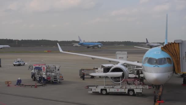 Korean Airlines Airplane Airbus A220 Arrived Tokyo International Narita Airportand — Stok video